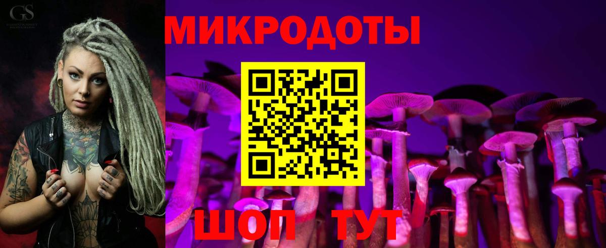 Псилоцибиновые грибы Psilocybine cubensis Каменск-Уральский